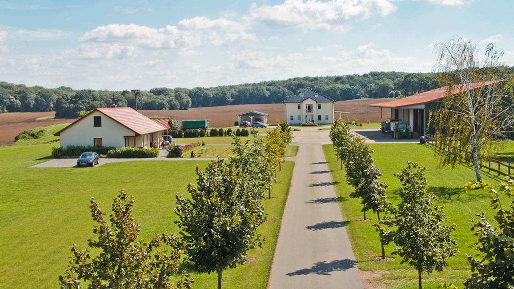 Ferienwohnung Hof Maiweg Alt Schonau Exterior photo